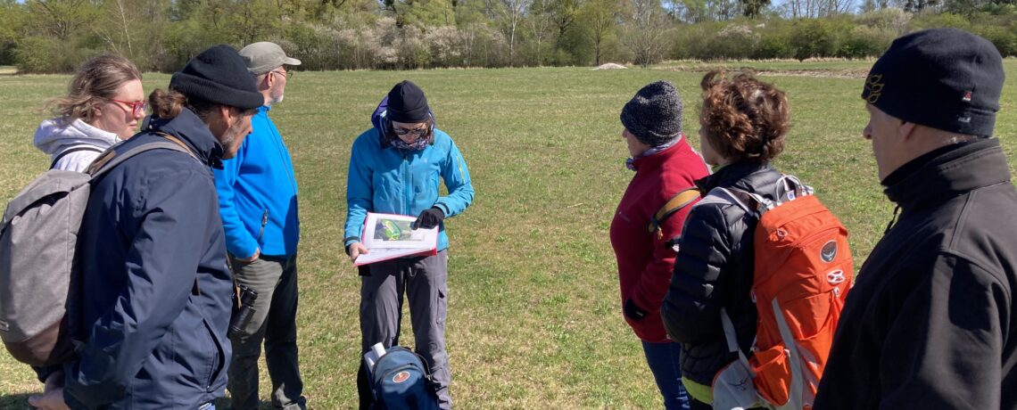 Le Woerr, une zone alluviale typique du Rhin supérieur