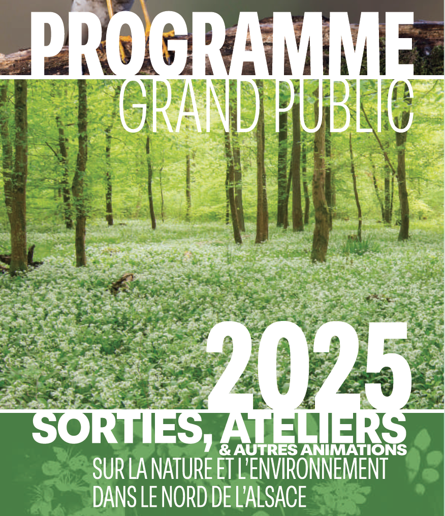 programme 2025
