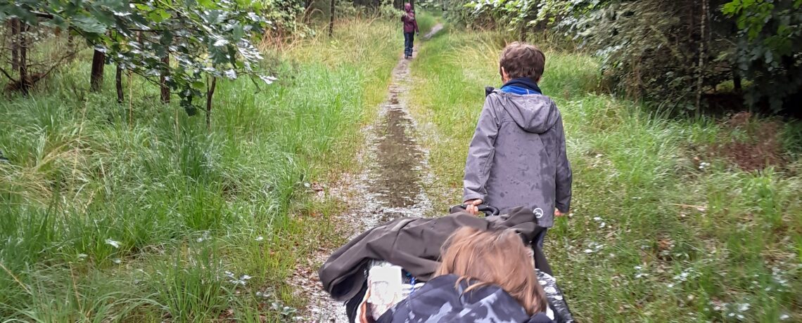 La haie, quels intérêts ?