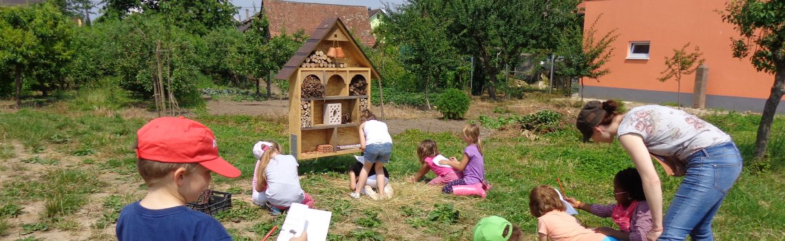 À la découverte du monde des insectes